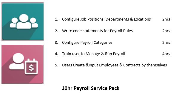 Payroll Service Pack (Beginners)